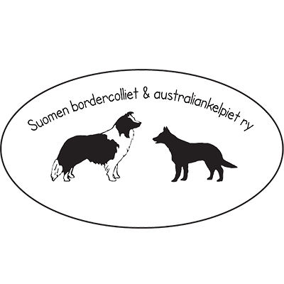 Suomen Border Colliet ja Australian Kelpiet